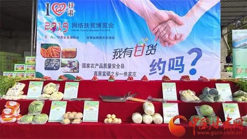 线上线下齐发力 真情助困解民忧 网络达人直播助力销售金昌优质农产品