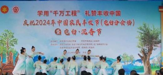 茂名电白区:沉香节暨农民丰收节同时上演